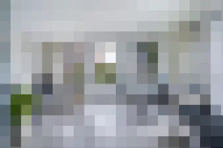 Holwoartelstrjitte 10 Koarnjum thumbnail 8