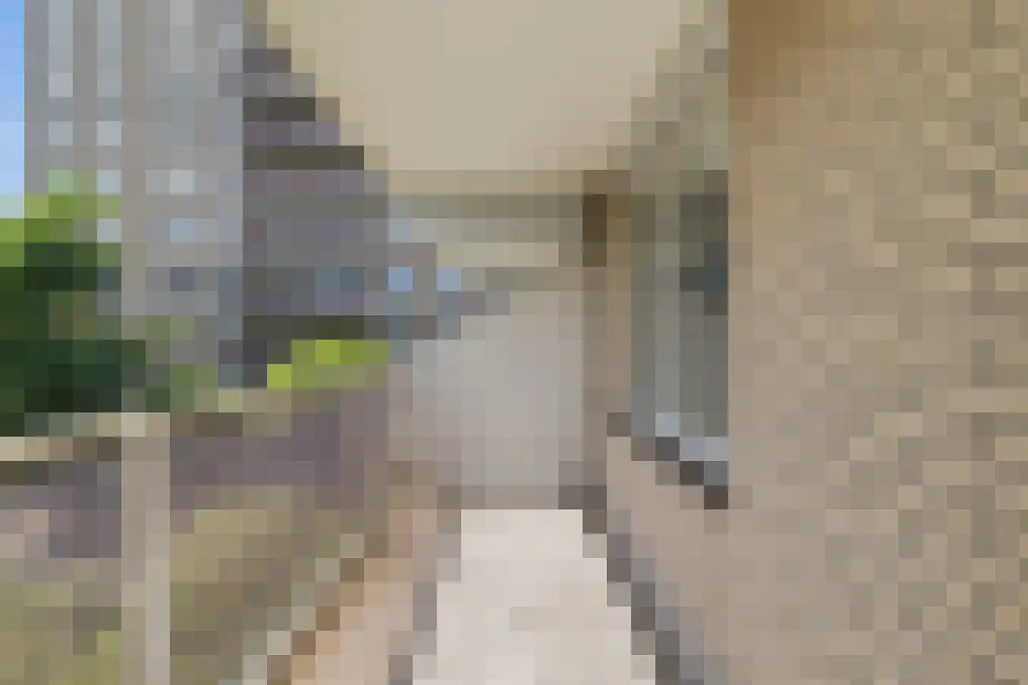 Holy 31 Amsterdam thumbnail 10
