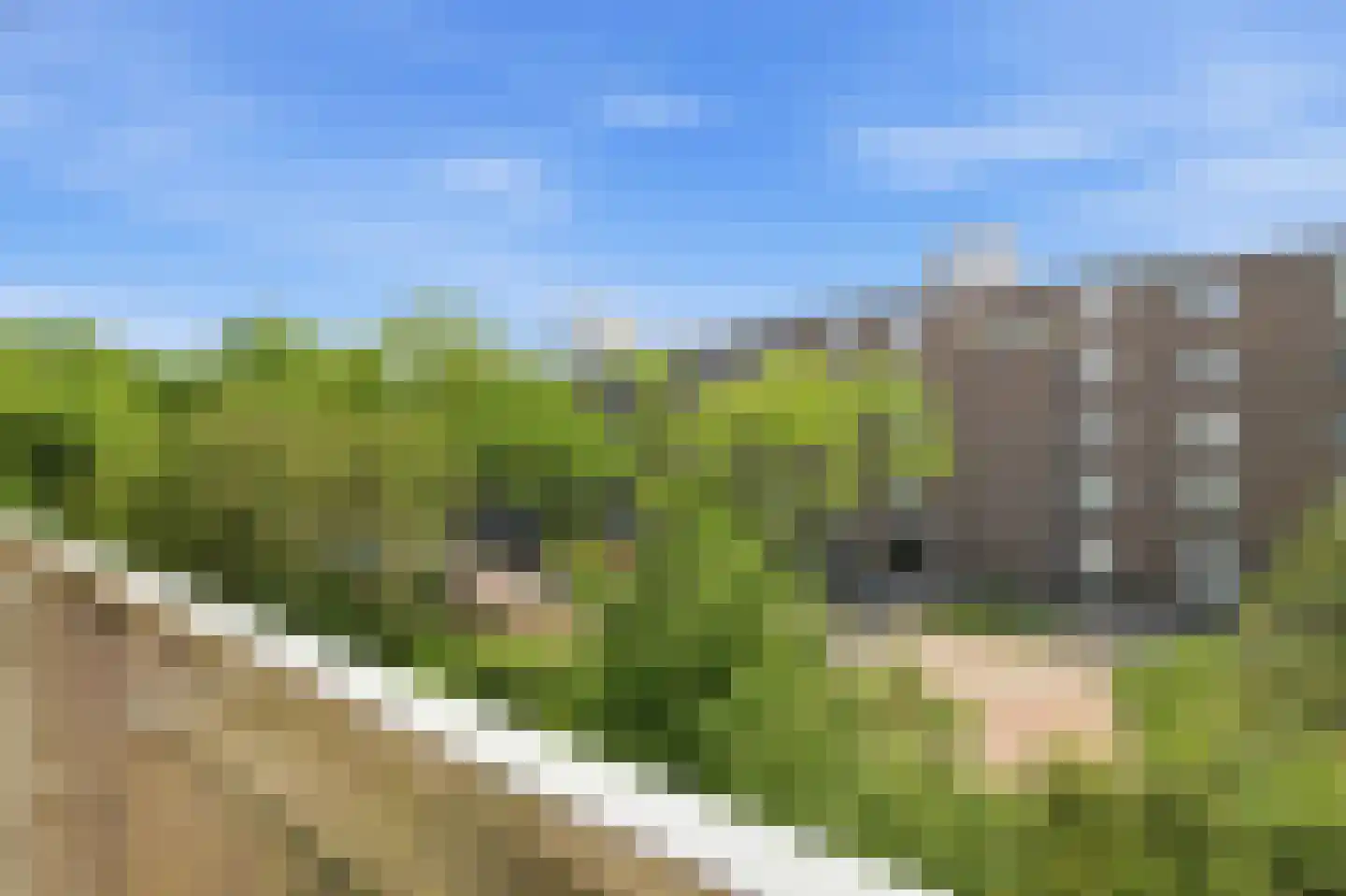 Holy 31 Amsterdam thumbnail 12