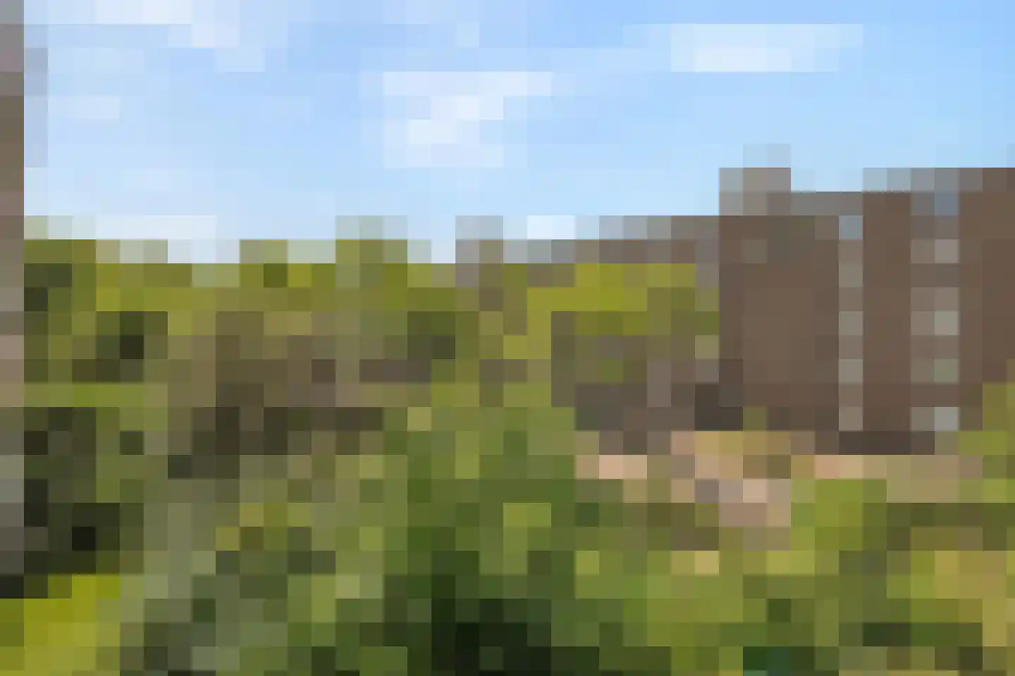 Holy 32 Amsterdam thumbnail 10