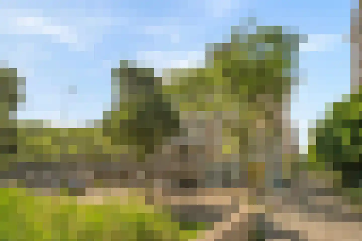 Holy 32 Amsterdam thumbnail 15