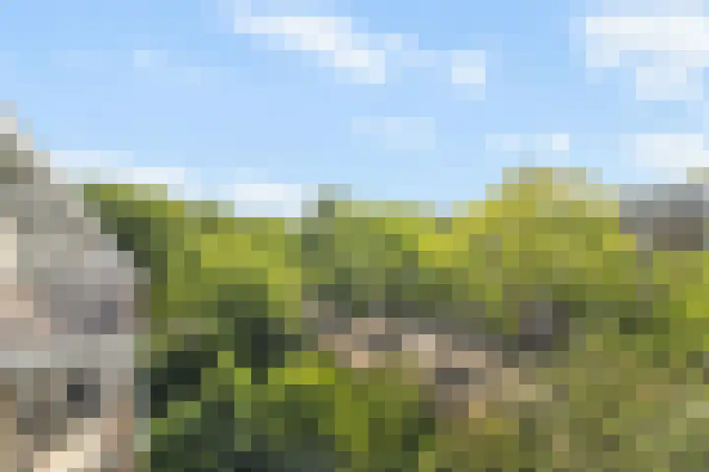Holy 41 Amsterdam thumbnail 16