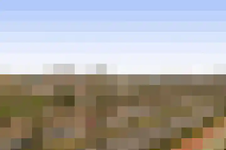 Holysingel 104 Vlaardingen thumbnail 23
