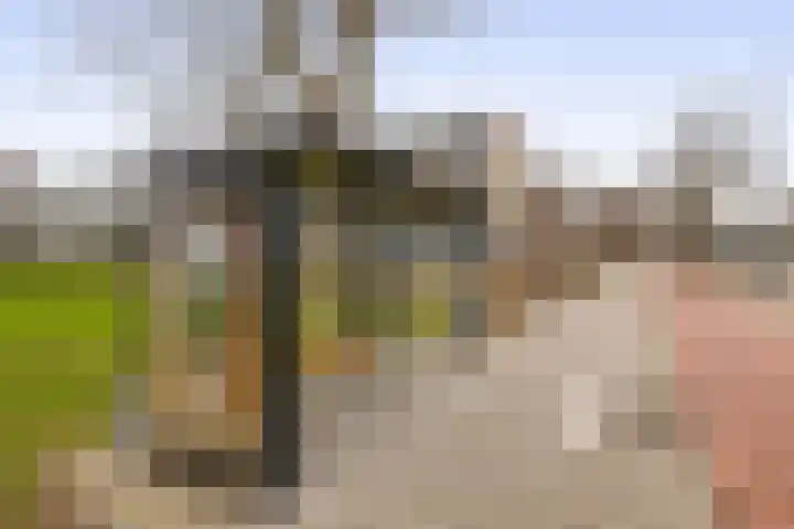 Holysingel 104 Vlaardingen thumbnail 31
