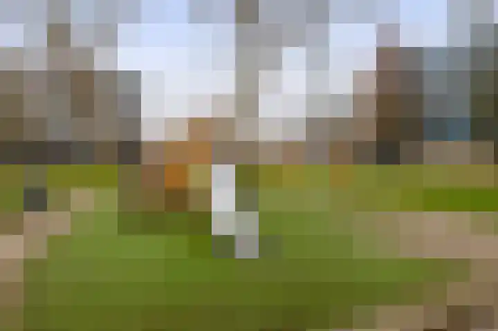 Holysingel 104 Vlaardingen thumbnail 6