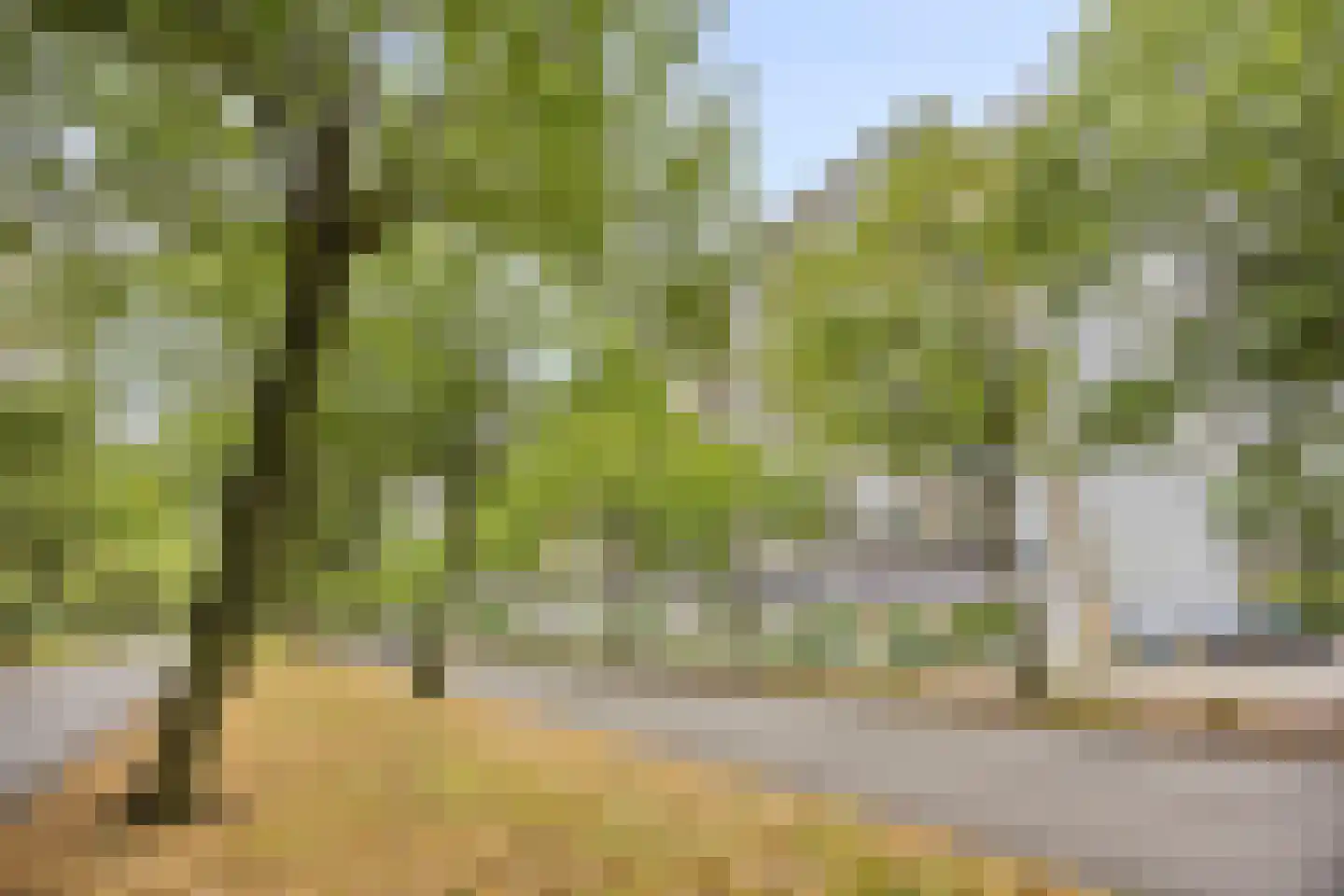 Holysingel 108 Vlaardingen thumbnail 4