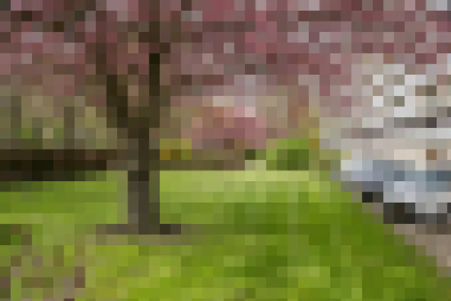 Holysingel 162 Vlaardingen thumbnail 6
