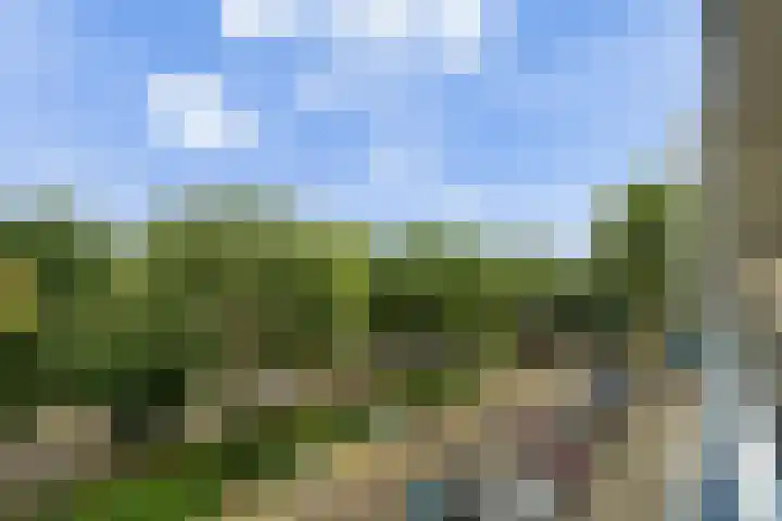 Holysingel 196 Vlaardingen thumbnail 14