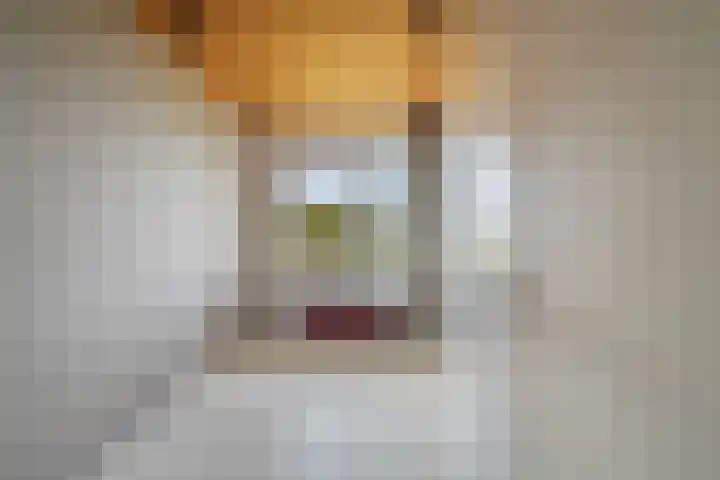 Holysingel 196 Vlaardingen thumbnail 31