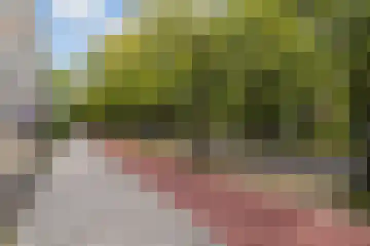 Holysingel 196 Vlaardingen thumbnail 39