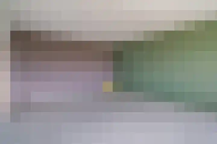 Holysingel 196 Vlaardingen thumbnail 9