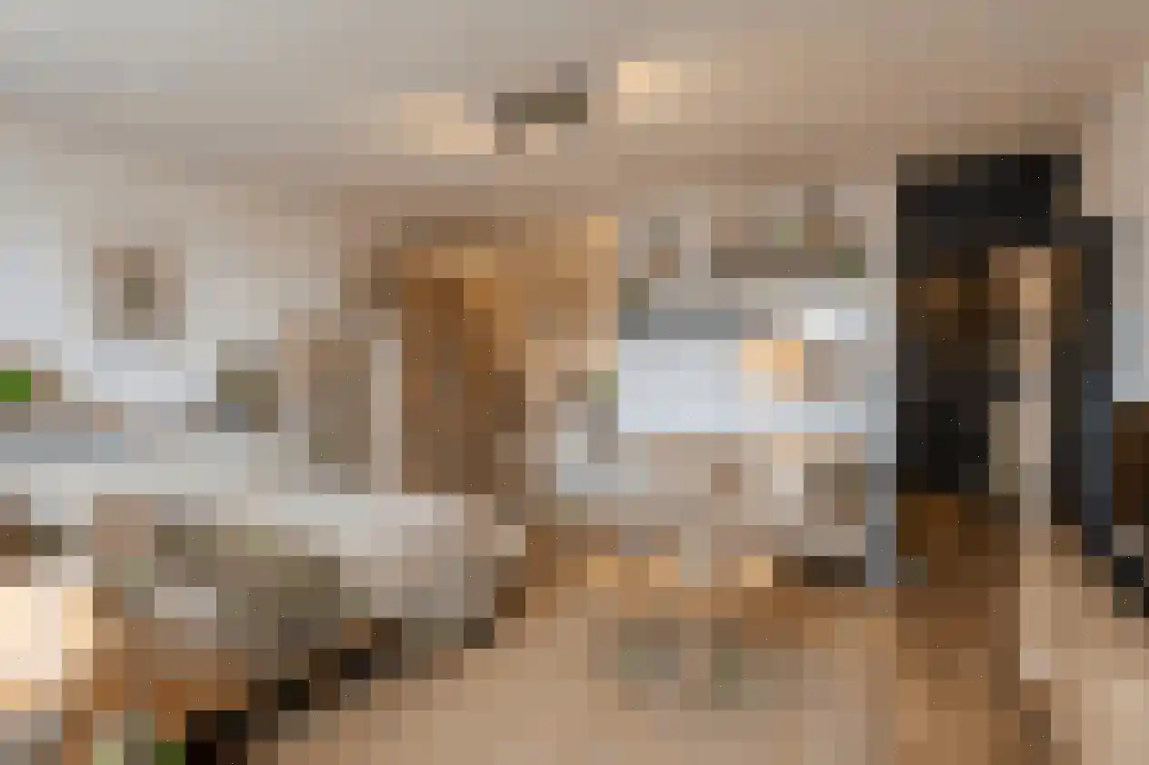 Holysingel 210 Vlaardingen thumbnail 16