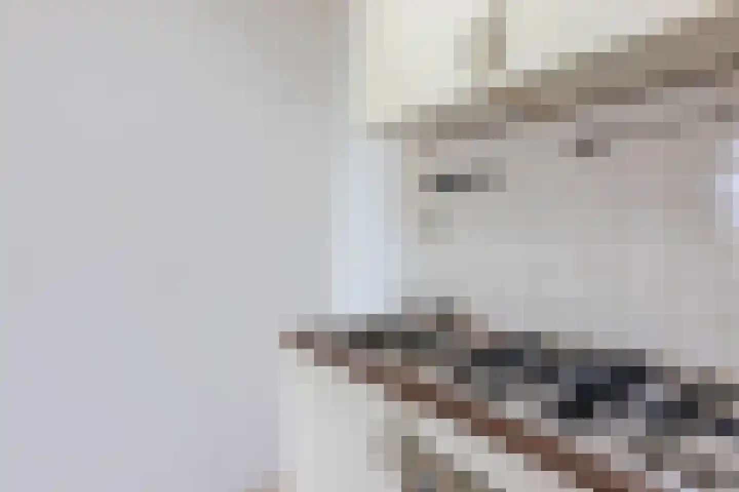 Holysingel 210 Vlaardingen thumbnail 20