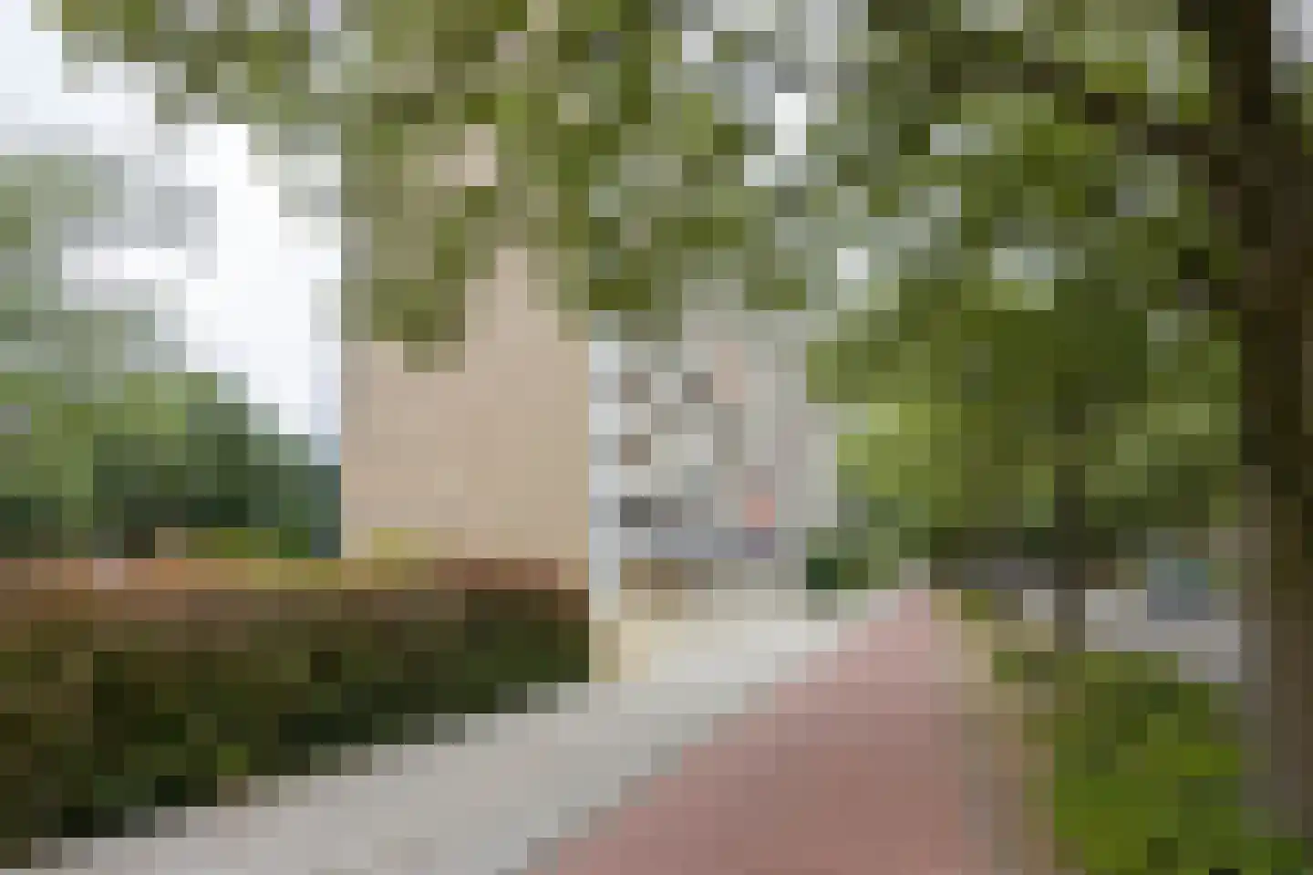 Holysingel 210 Vlaardingen thumbnail 5