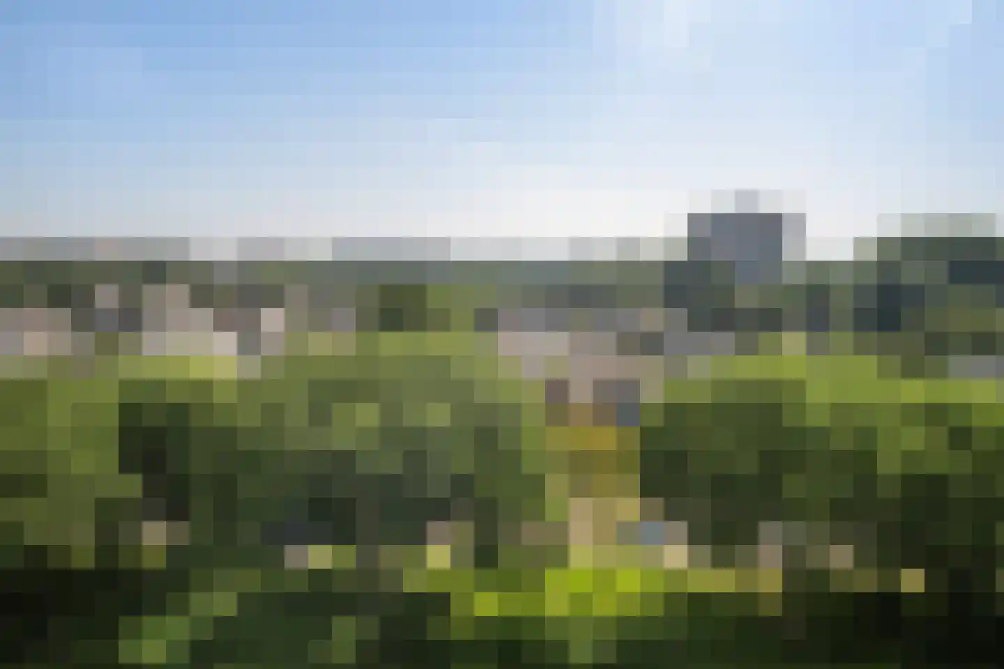 Holysingel 226 Vlaardingen thumbnail 8