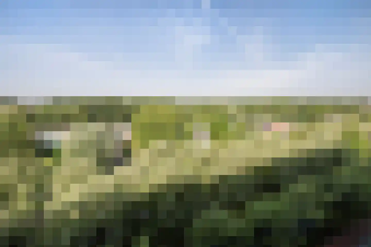 Holysingel 226 Vlaardingen thumbnail 9