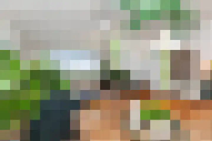 Holysingel 242 Vlaardingen thumbnail 14