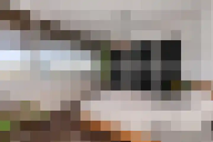 Holysingel 242 Vlaardingen thumbnail 27