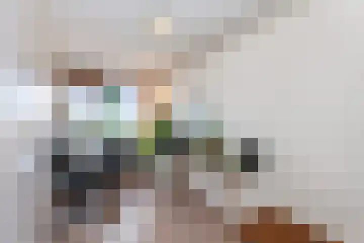 Holysingel 242 Vlaardingen thumbnail 34
