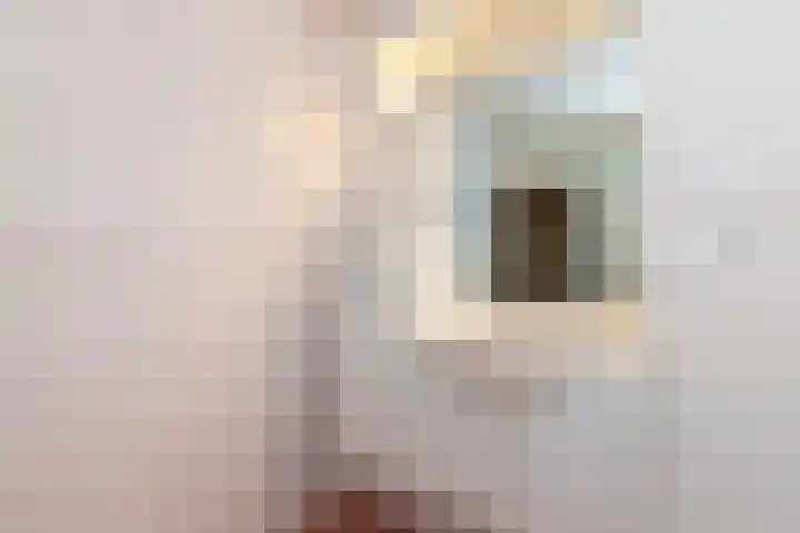 Holysingel 242 Vlaardingen thumbnail 37