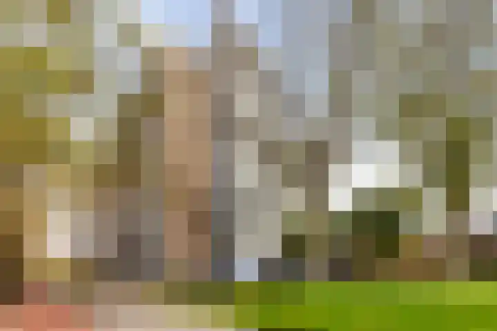 Holysingel 242 Vlaardingen thumbnail 39