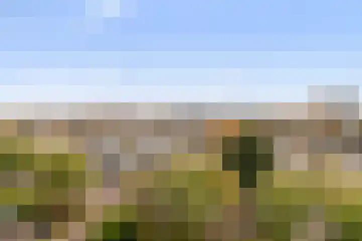Holysingel 242 Vlaardingen thumbnail 8