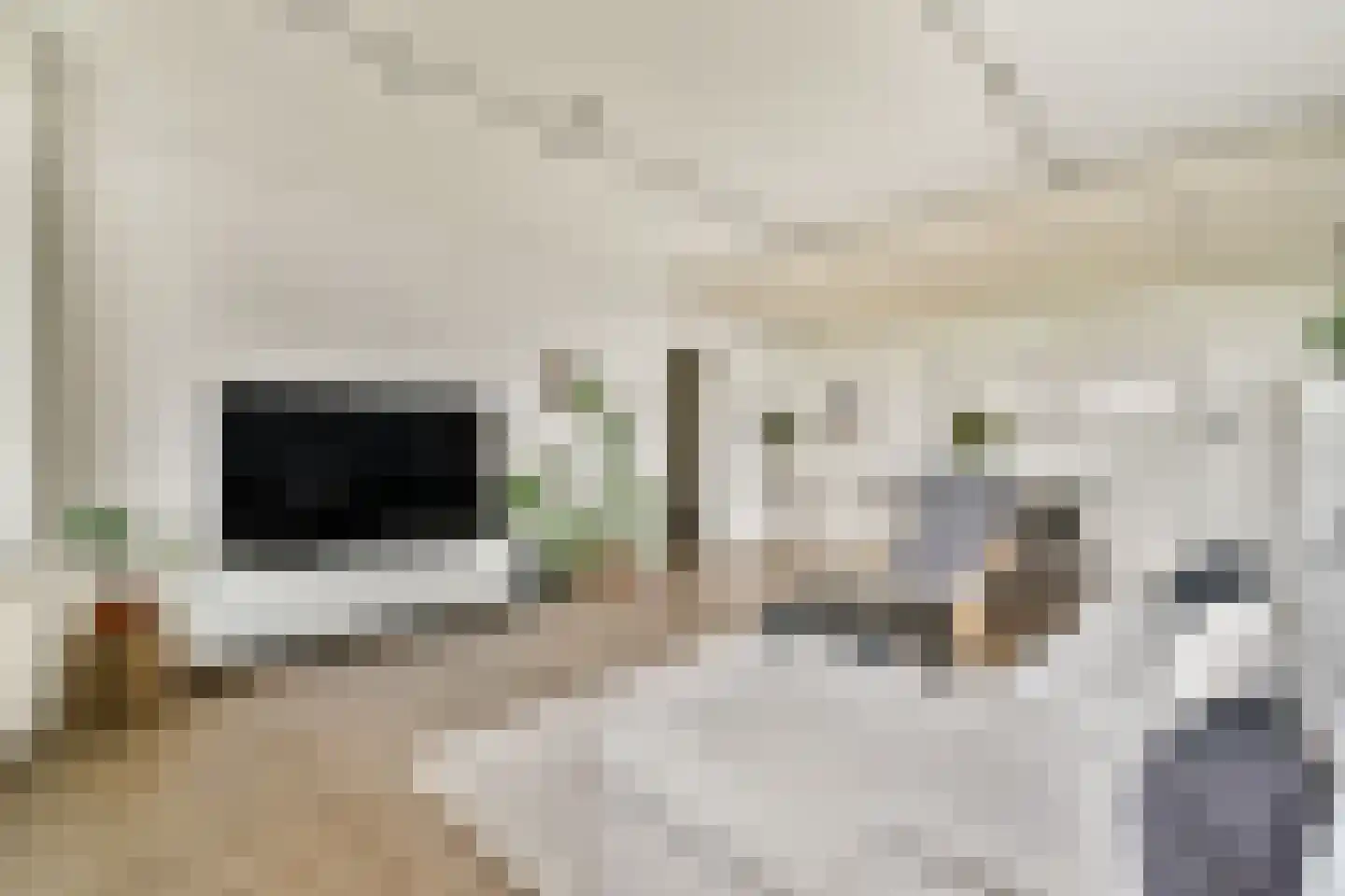 Holysingel 252 Vlaardingen thumbnail 10