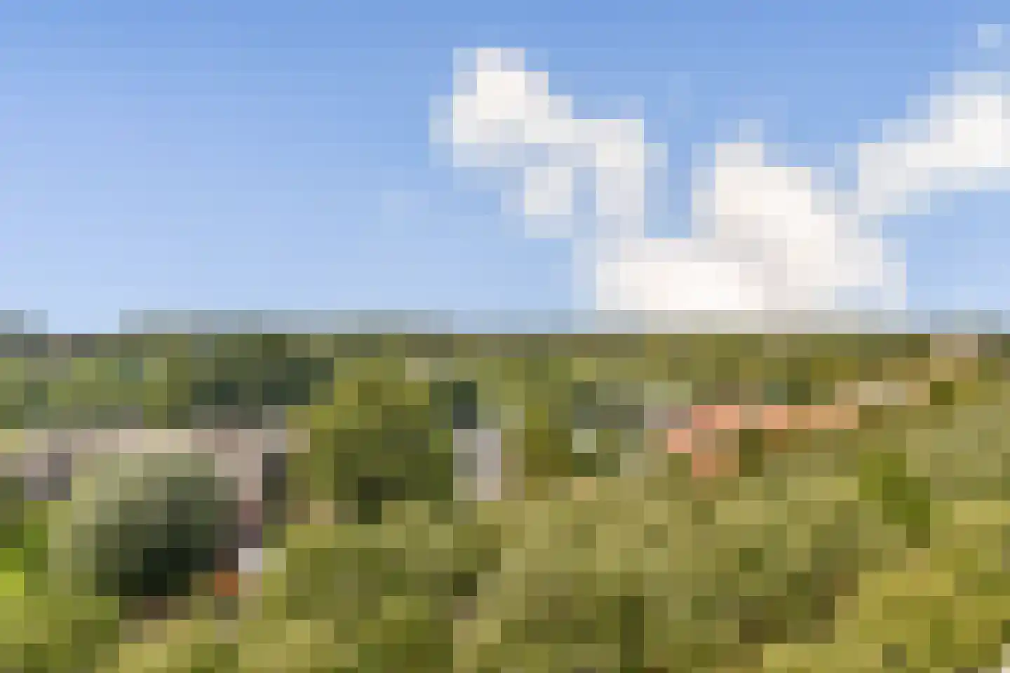 Holysingel 252 Vlaardingen thumbnail 12