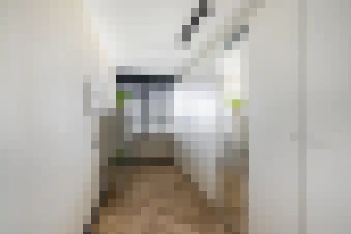Holysingel 266 Vlaardingen thumbnail 18