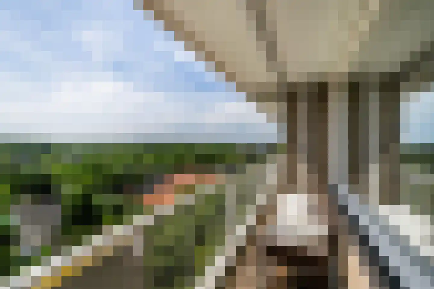 Holysingel 266 Vlaardingen thumbnail 22