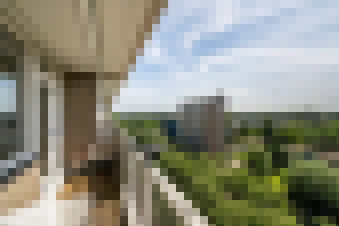 Holysingel 266 Vlaardingen thumbnail 23