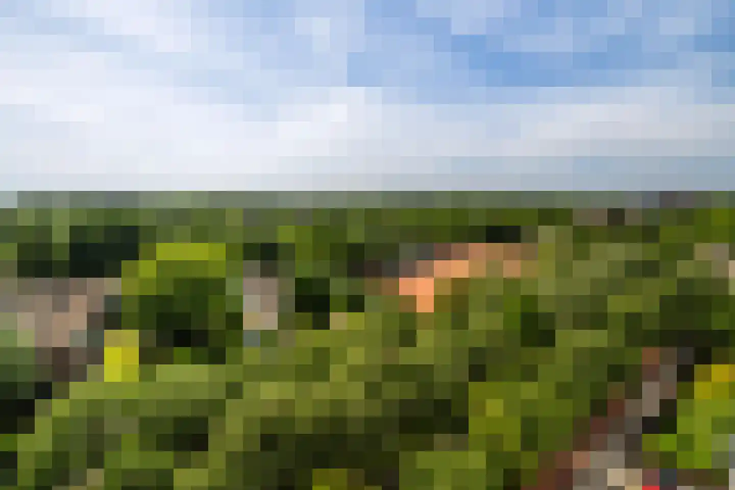 Holysingel 266 Vlaardingen thumbnail 25
