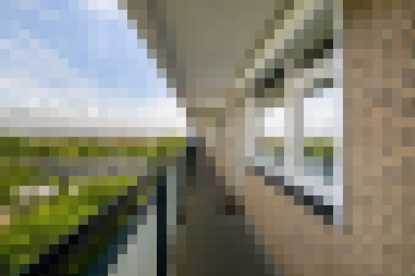 Holysingel 266 Vlaardingen thumbnail 8