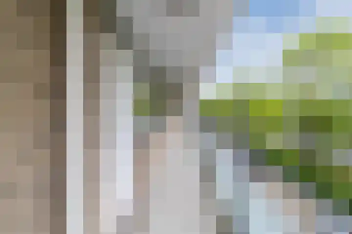 Holysingel 408 Vlaardingen thumbnail 13