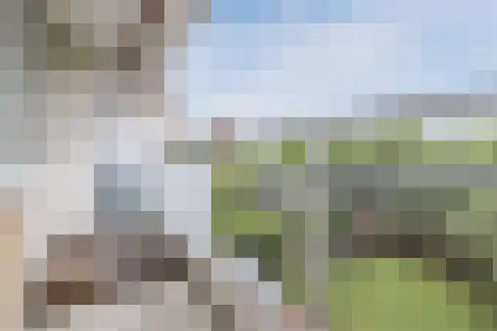 Holysingel 408 Vlaardingen thumbnail 20