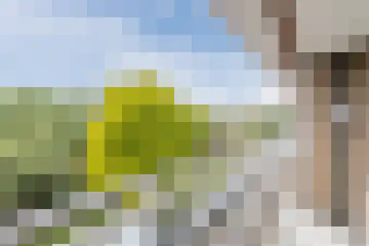 Holysingel 408 Vlaardingen thumbnail 21