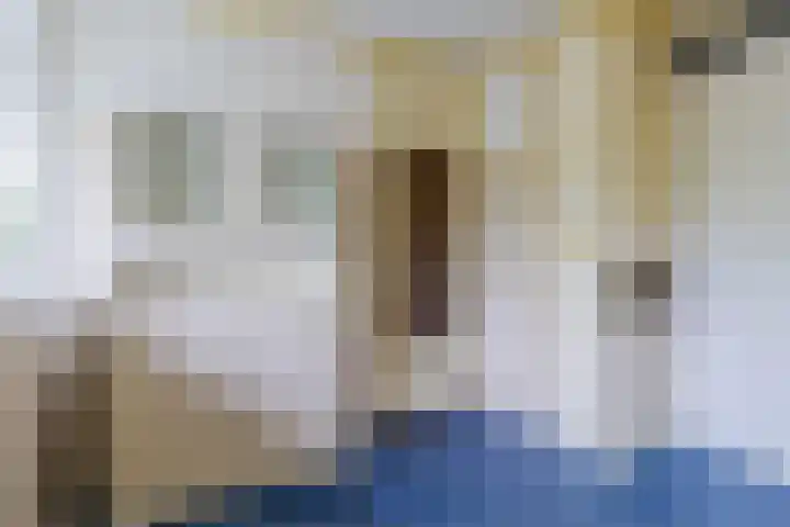 Holysingel 408 Vlaardingen thumbnail 30