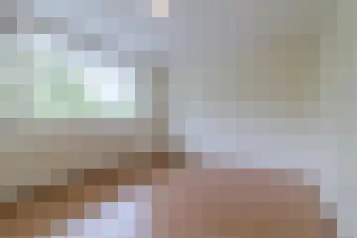 Holysingel 408 Vlaardingen thumbnail 32