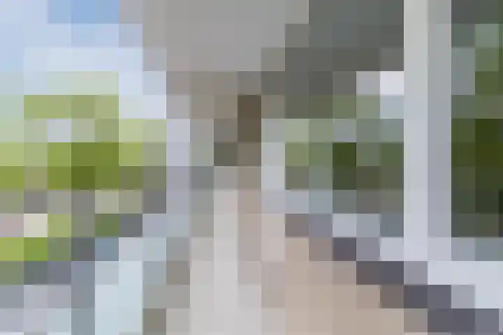 Holysingel 408 Vlaardingen thumbnail 34