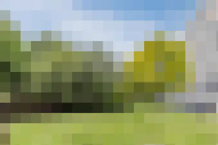 Holysingel 408 Vlaardingen thumbnail 39