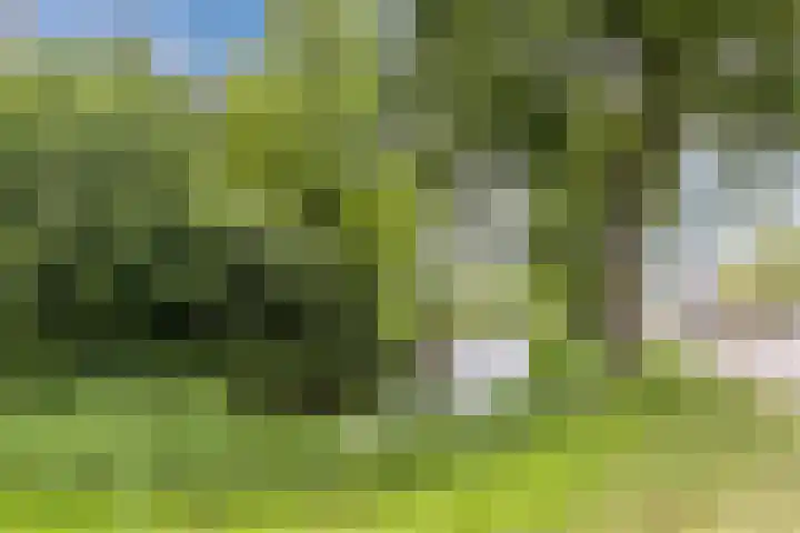 Holysingel 408 Vlaardingen thumbnail 42