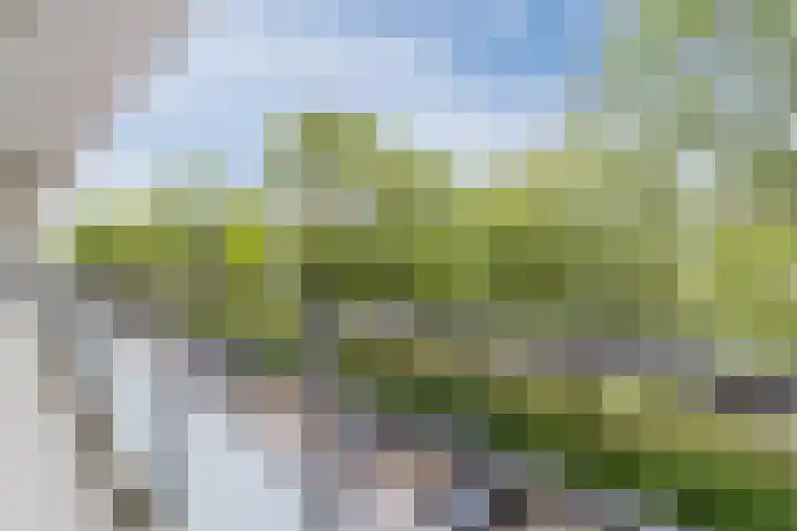 Holysingel 408 Vlaardingen thumbnail 5