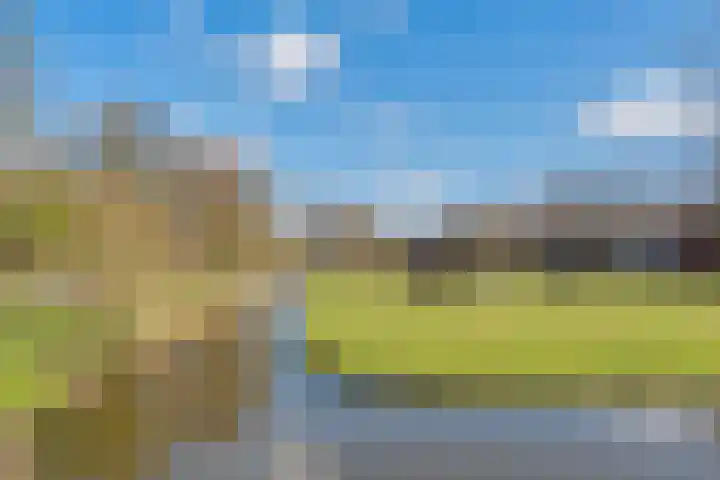 Holysingel 512 Vlaardingen thumbnail 24