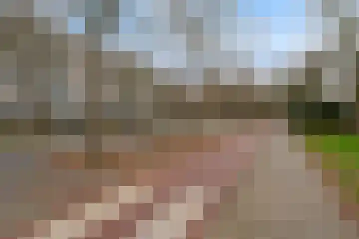 Holysingel 512 Vlaardingen thumbnail 5