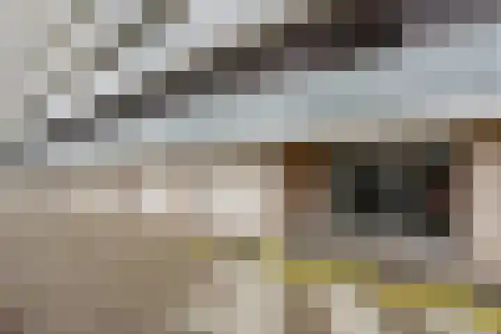 Holysingel 512 Vlaardingen thumbnail 7