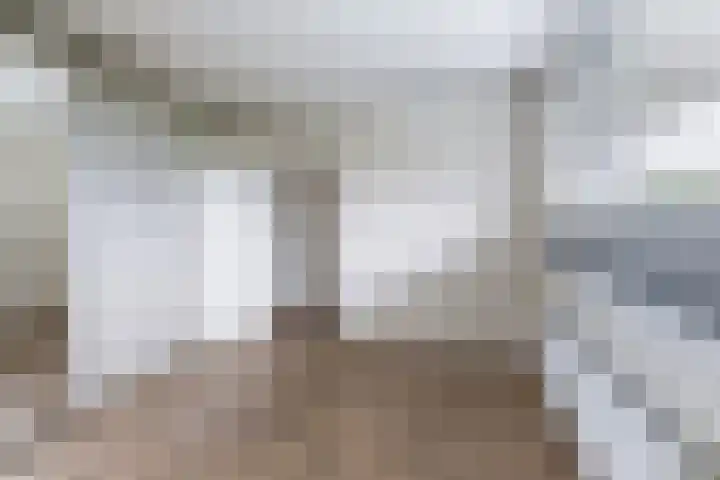Holysingel 578 Vlaardingen thumbnail 18