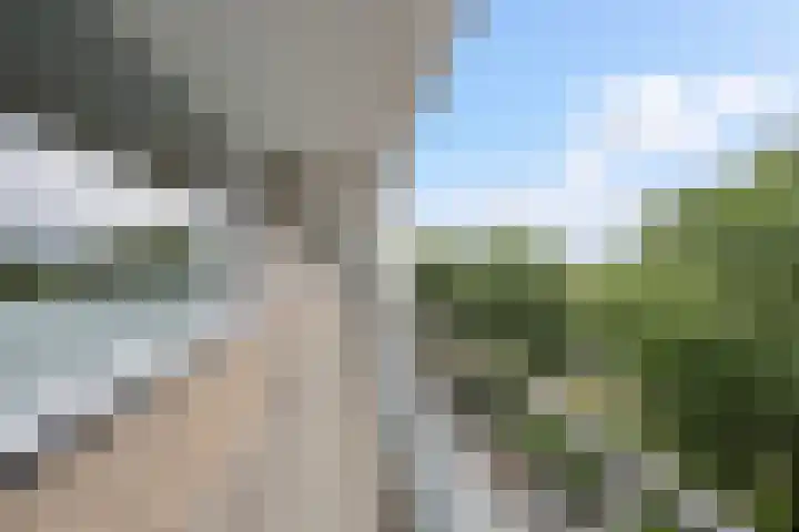 Holysingel 578 Vlaardingen thumbnail 21