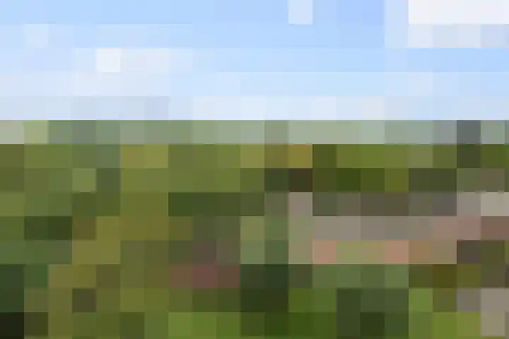 Holysingel 578 Vlaardingen thumbnail 22