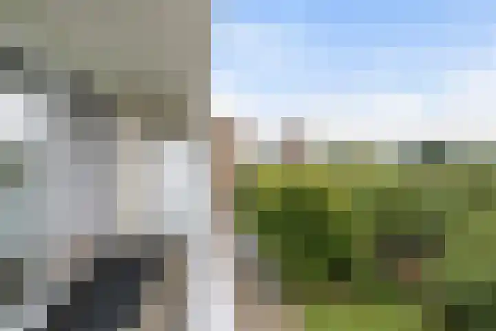 Holysingel 578 Vlaardingen thumbnail 7