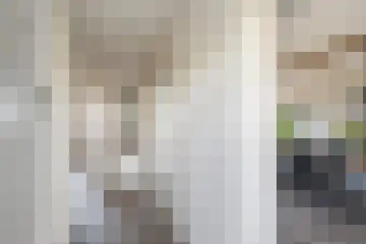 Holysingel 590 Vlaardingen thumbnail 10